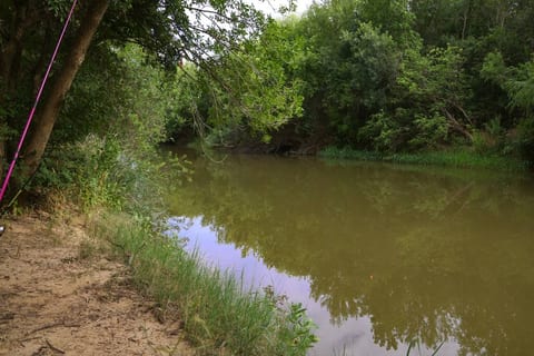 Enjoy the beautiful scenery and peaceful sounds of the river in our backyard. Take a stroll along the river bank or relax by the water's edge. Don't forget your fishing gear!