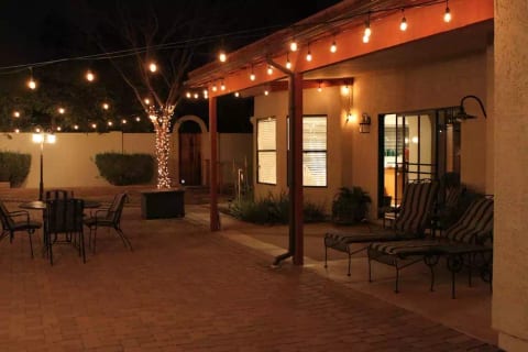 Chandler/Tempe Arizona- Desert Orchid