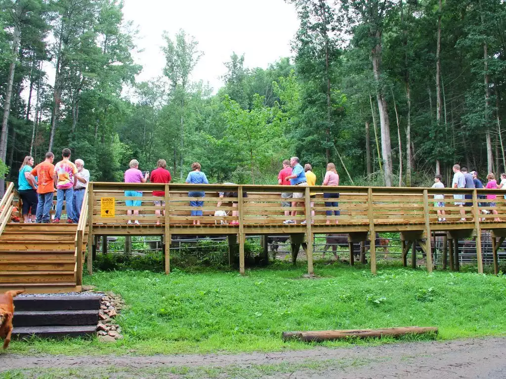 Be sure to come see the bison feeding at the bison feeding platform Be sure to come see the bison feeding at the bison feeding platform - SCL Caboose #0887 - Clyde