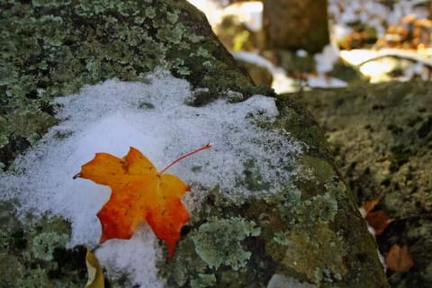 located in the North Ga mountains near Unicoi State Park, Anna Ruby Falls, numerous hiking areas...