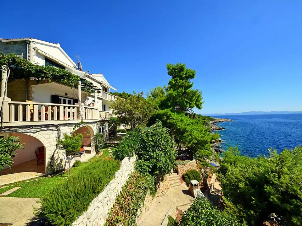 Plavac Mali - Trstenik