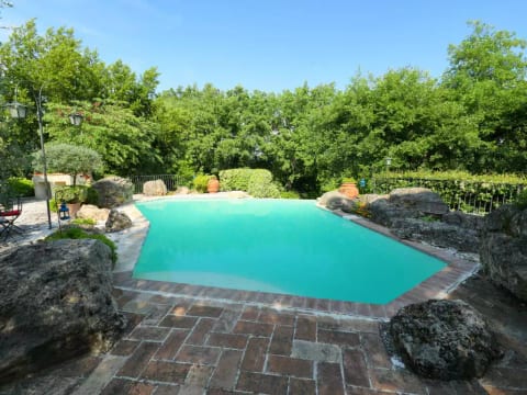Oasis