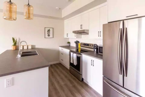 Find everything you need in this modern kitchen.