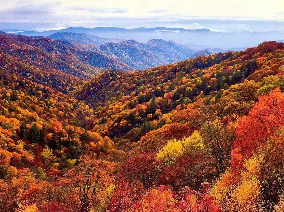 Mountaintop Views•Close to Downtown•2 Pools + Hot Tubs  - Gatlinburg