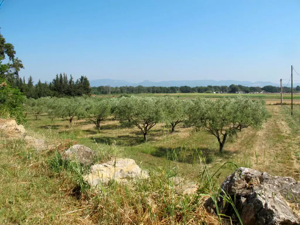 Mas du Combaud (RSA172) - Roquebrune-sur-Argens