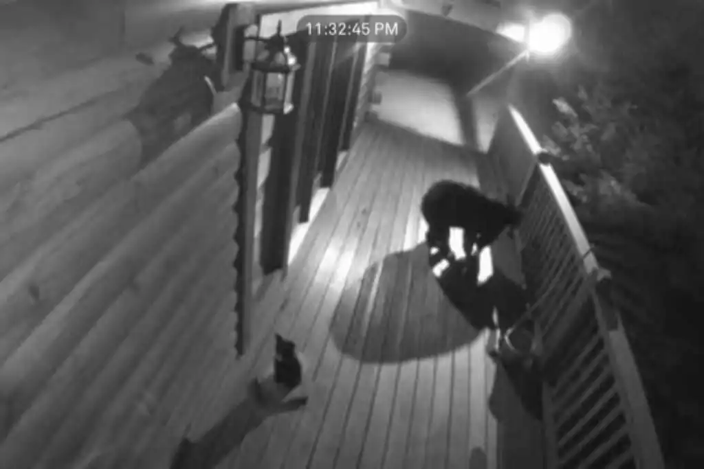 A special visitor! A special visitor! - Cub Hideaway 3BR/3BA - Gatlinburg