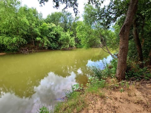 Enjoy the beautiful scenery and peaceful sounds of the river in our backyard. Take a stroll along the river bank or relax by the water's edge. Don't forget your fishing gear!