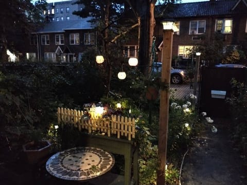 Garden view at night