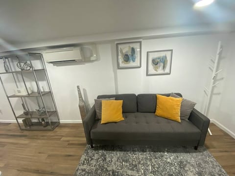 New Apt Near Prospect Park South & Kings Theatre
