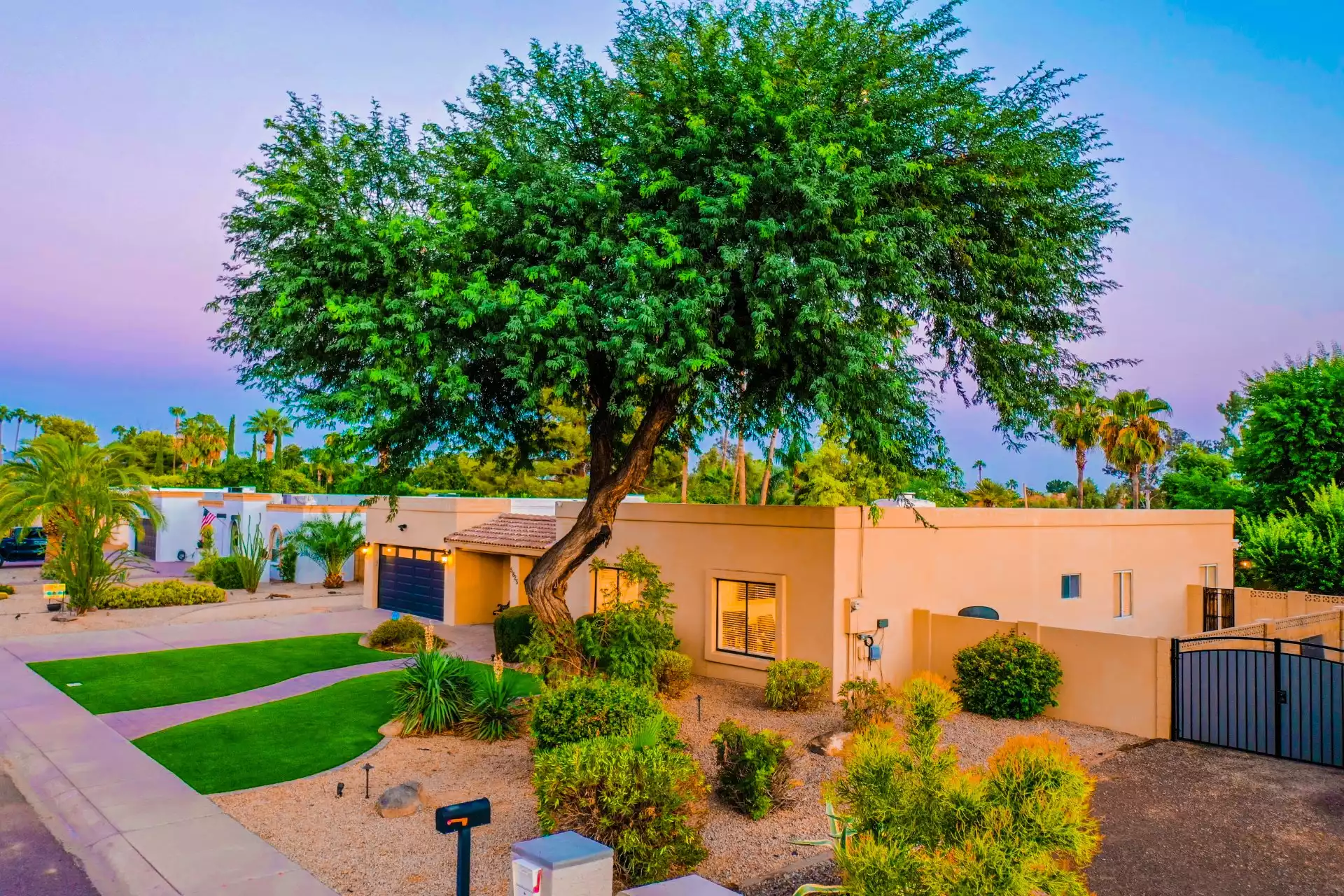 Scottsdale Endless Summer - Scottsdale