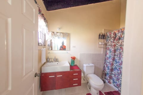 Vacation Home In Martha Brae Jamaica