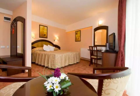 Luxury nest in the heart of Brasov