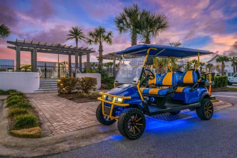 Dory is one of the most popular golf carts on 30A. She's always a fave with our guests!