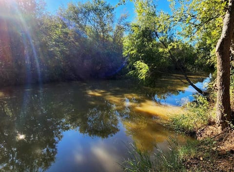 Enjoy the beautiful scenery and peaceful sounds of the river in our backyard. Take a stroll along the river bank or relax by the water's edge. Don't forget your fishing gear!