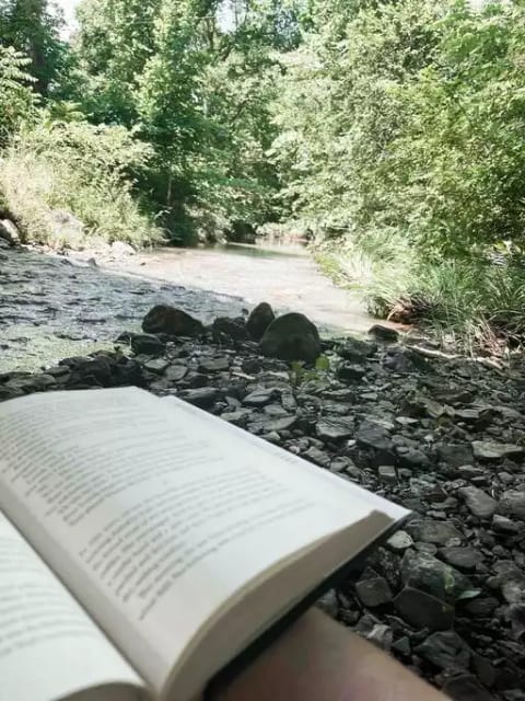 Enjoy a walk on a gravel road, to a creek located off the property, but just down the hill.
