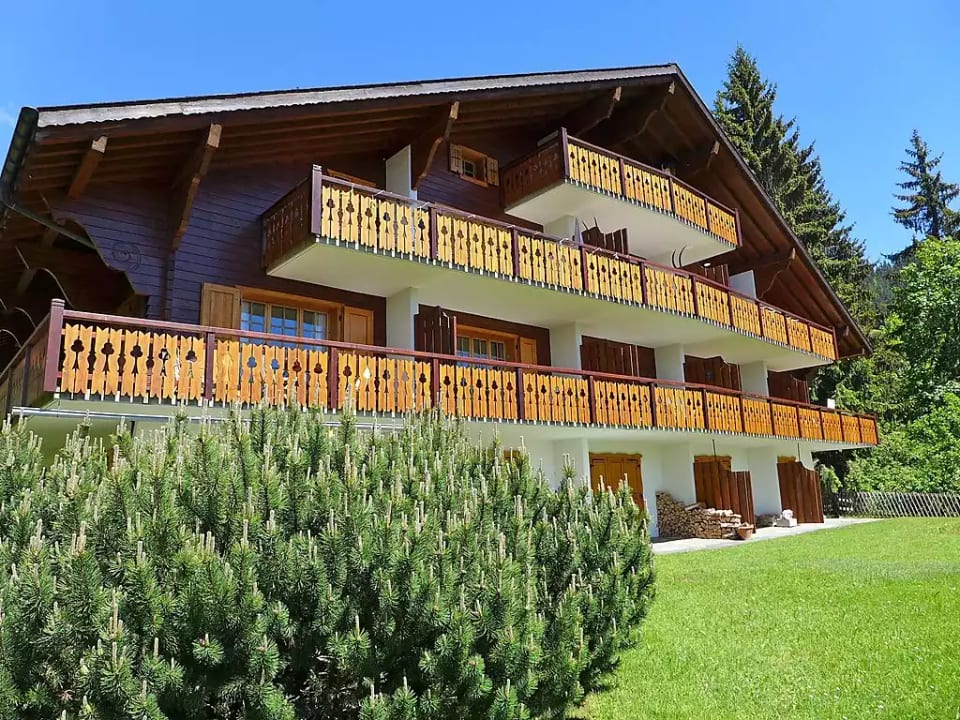 Sapin Bleu 5 - Ollon