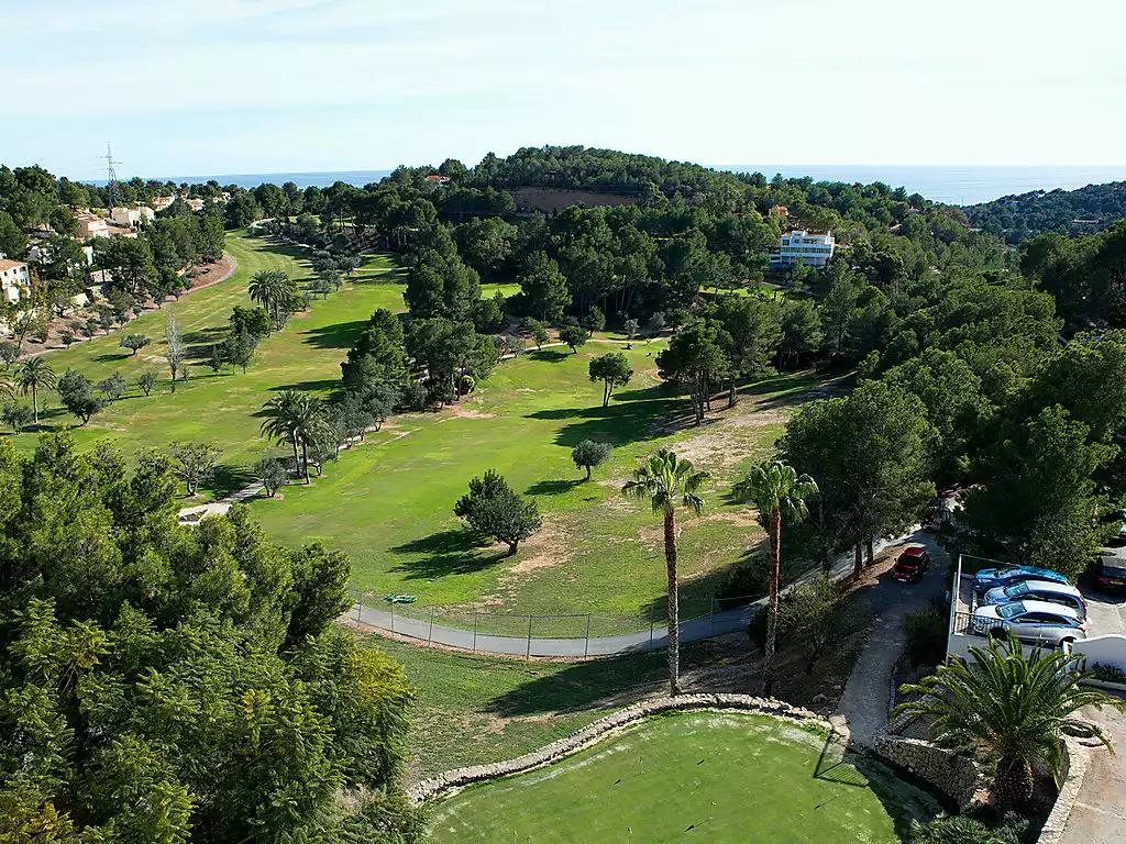 Los Lirios III
