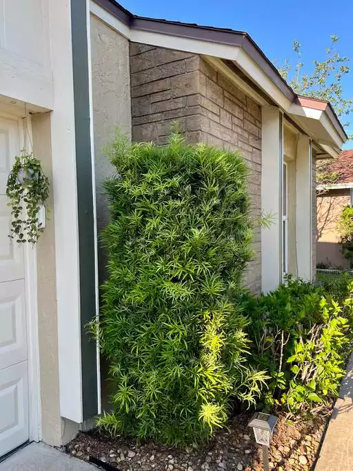 Disney Area Boho Chic Villa - Kissimmee Disney Area Boho Chic Villa - Kissimmee