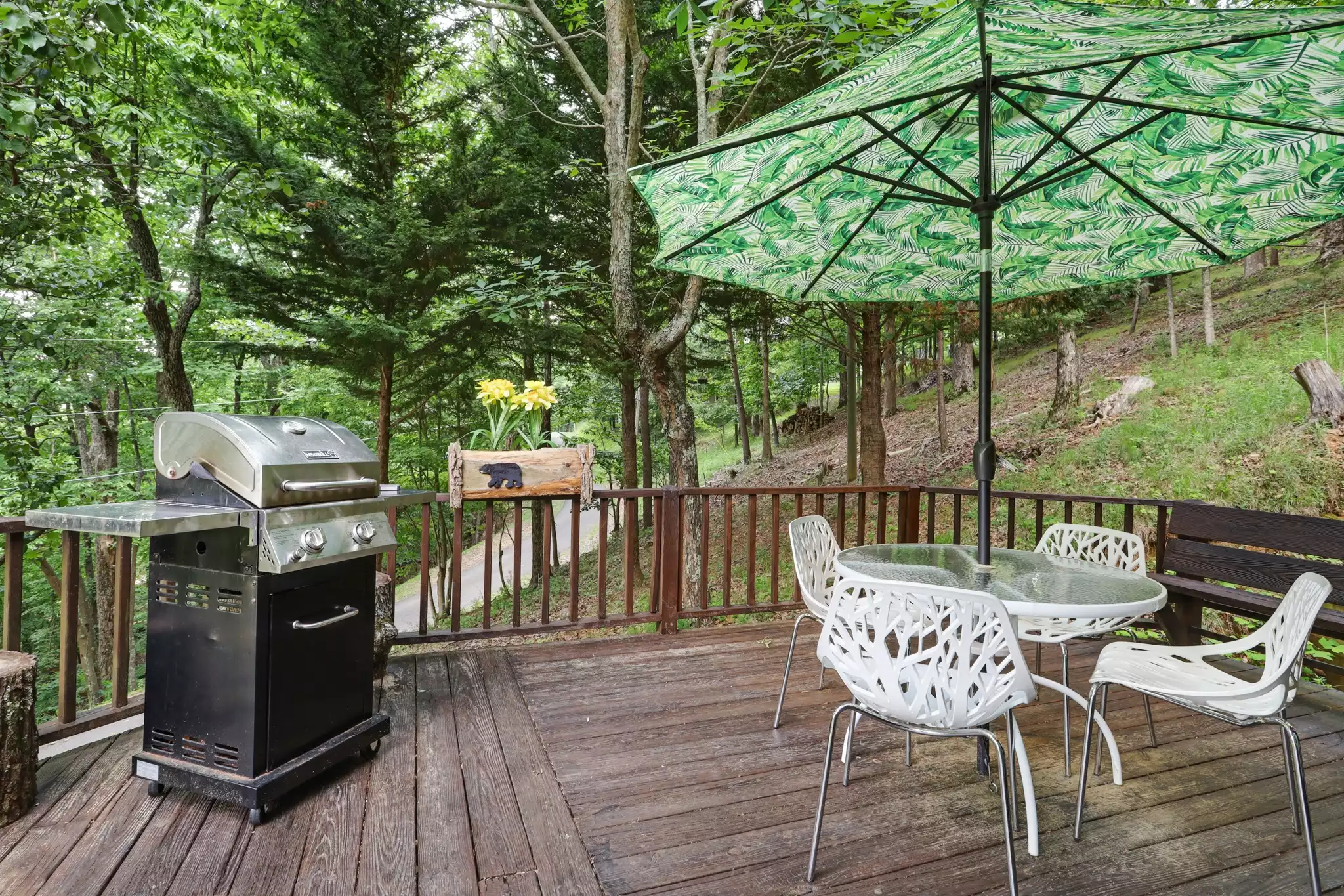 The Owl's Nest - Ellijay