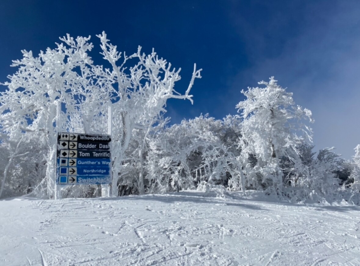 Live Resort Cams Sugar Mountain North Carolina