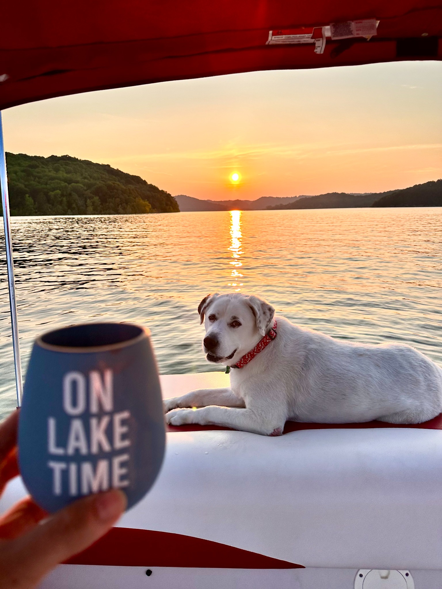 Dog aboard a boat at sunset on Center Hill Lake beside an On Lake Time cup