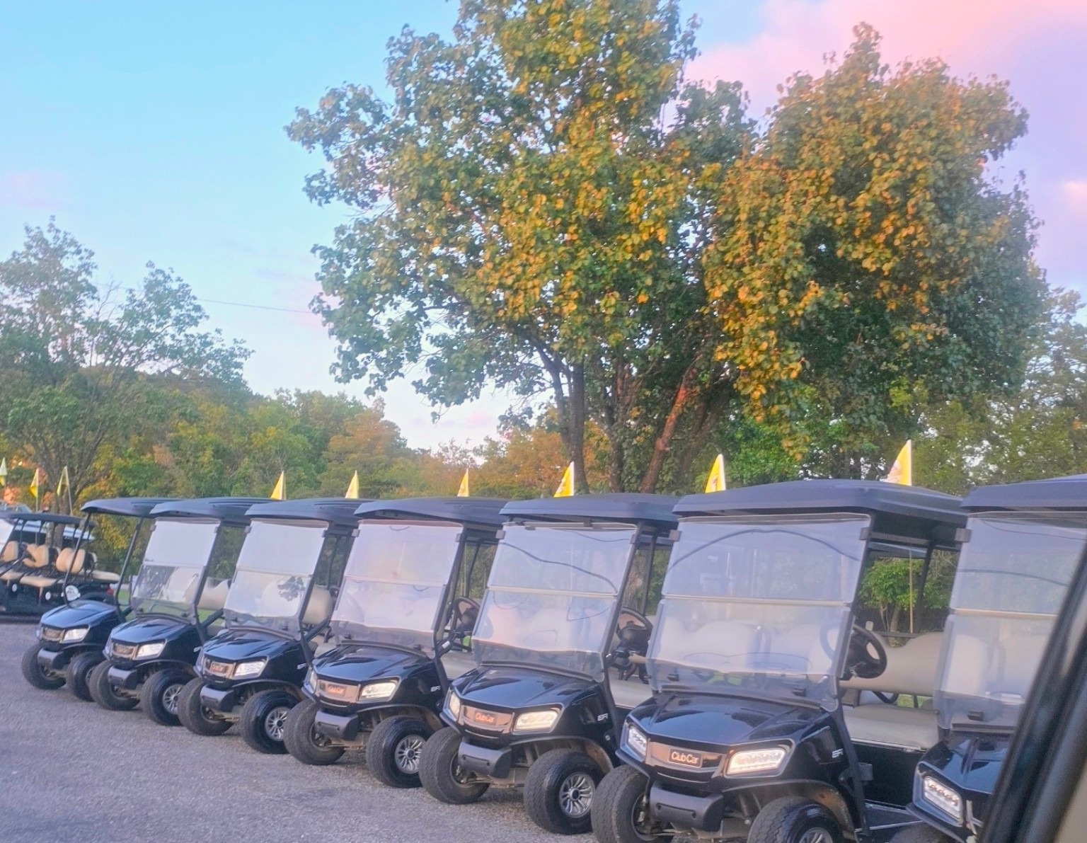 Golf carts available nearby